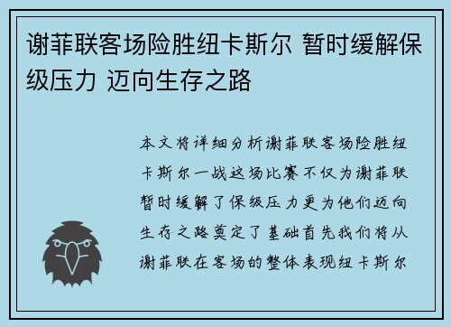 谢菲联客场险胜纽卡斯尔 暂时缓解保级压力 迈向生存之路 谢菲联客场险胜纽卡斯尔 暂时缓解保级压力 迈向生存之路
